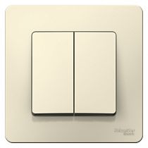 Blanca скрытая установка Молочный Выключатель 2 клавишный  6А Systeme Electric (Schneider Electric)