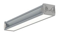 Светильник L-industry NEW 24/23/Д/5,0К/02/IKII-21/220AC IP54 L LEDEL