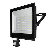 Прожектор светодиодный ТМ IONICH IFLSLED-DOB-ДД-100-865-BL-IP65 с инфракрасным датчиком движения