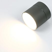 Спот на основании GWL-GX53-M-IP20 Одинарный Графит Направленный Вихрь