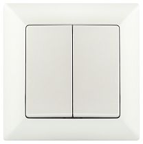 Выключатель ЭРА Intro Solo 4-104-06 IP20 10А 250В перламутр двухклавишный