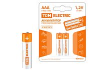 Аккумулятор AAA-1100 mAh Ni-MH BP-2  TDM