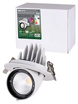 Светильник встраиваемый поворотный "Акцент-1" LED DSL-01-030-NW 30 Вт, 24°, 4000 К, 90 Ra, IP40, TDM Светильник встраиваемый поворотный "Акцент-1" LED DSL-01-030-NW 30 Вт, 24°, 4000 К, 90 Ra, IP40, TDM