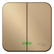 Blanca открытая установка с изолированной пластиной Титан Выключатель 2 клавишный  с подсветкой 10А,250B Systeme Electric (Schneider Electric)