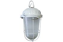 Светильник ЖКХ НСП 02-200-022.01 У2 (с решеткой, стекло, крюк)  TDM