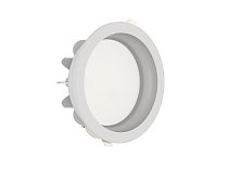 Светильник ДВО 07-18-850-Д110 IP65 1-10В FEREKS