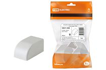 Заглушка кабельной трассы КМЗ 100x60 (2 шт./комп.)  TDM