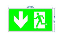 Самоклеящаяся этикетка ЭРА INFO-SSA-118 пленка бэклит Человек-стрелка-вниз зеленая для SSA-103