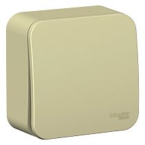 Blanca открытая установка с изолированной пластиной Бежевый Переключатель 1 клавишный (cх.6) 10А Systeme Electric (Schneider Electric)