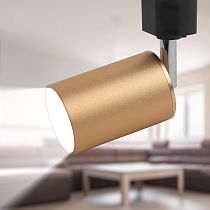 Трековый светильник ЭРА TR14-GU10 SG GU10, 55*165 мм, сатин золото