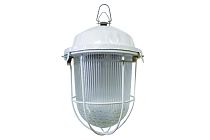 Светильник ЖКХ НСП 02-100-002.01 У2 (с решеткой, стекло, крюк)  TDM