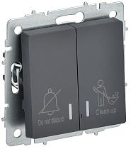BRITE Выключатель 2-клавишный с индикацией для отелей 10А ВС10-2-9-БрГ графит  IEK