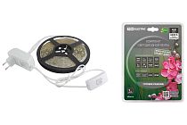 Комплект светодиодной ленты SMD2835-60 LED/м-12 В-4,8 Вт/м-IP65-6000 К (5 м), 24 Вт  TDM Комплект светодиодной ленты SMD2835-60 LED/м-12 В-4,8 Вт/м-IP65-6000 К (5 м), 24 Вт  TDM