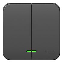 Blanca открытая установка с заземлением  Антрацит Выключатель 2клавишный  с подсветкой  10А Systeme Electric (Schneider Electric)