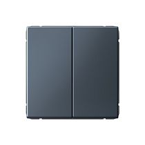 ARTGALLERY 2-клавишный ВЫКЛЮЧАТЕЛЬ, 10АХ, механизм, быстрозажим. клем., ГРИФЕЛЬ