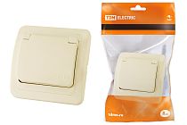 Розетка с крышкой 2П+З 16А IP44 сл. кость "Валдай"  TDM