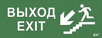 Этикетка самоклеящаяся "Выход/лестница вниз/фигура" ДПА IP20/54  IEK