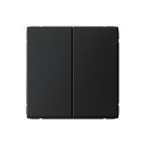 ArtGallery Карбон Выключатель двухклавишный, сх.5, 10АХ, механизм Systeme Electric (Schneider Electric)