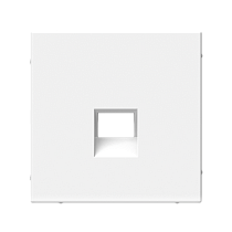 ArtGallery Белый Накладка для информационных функций типа Keystone Systeme Electric (Schneider Electric)