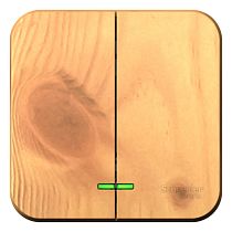 Blanca открытая установка без пластины Ясень Выключатель 2 клавишный  , 10А Systeme Electric (Schneider Electric)