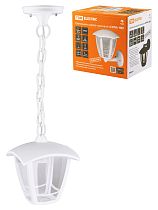 Светильник садово-парковый "СИТИ" НСУ 07-60-001 У1 4-х гранник подвесной белый  TDM