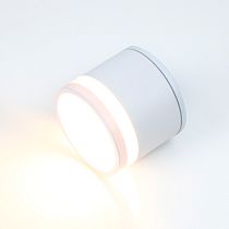 Накладной светильник "Спот" General GWL-GX53-M-IP65 Белый Купол