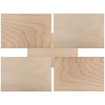 Доски для выжигания REXANT, «Набор творческий» (без рисунка), 148х210 мм (А5), 5 шт., пакет