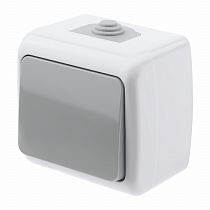 Выключатель Intro Atlantic 5-101-03 10А-250В, IP54, открытой установки, серый Выключатель Intro Atlantic 5-101-03 10А-250В, IP54, открытой установки, серый