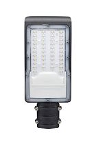 Уличный консольный светильник ДКУ-9001-Ш 30Вт  5000К IP65 EKF PROxima