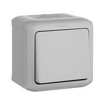 Переключатель одноклавишный наружный IP44 10А серый Quteo Legrand