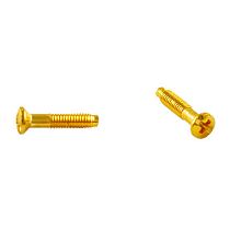 Винт для установки с силовыми, телефонными и компьютерными розетками, металл, цвет золото (10 шт/уп) Bironi