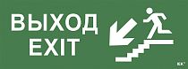 Этикетка самоклеящаяся "Выход/лестница вниз/фигура" ССА 1005 IEK Этикетка самоклеящаяся "Выход/лестница вниз/фигура" ССА 1005 IEK
