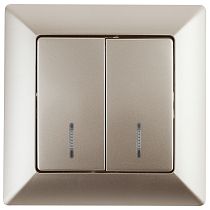 Выключатель ЭРА Intro Solo 4-105-04 IP20 10А 250В шампань двухклавишный с подсветкой