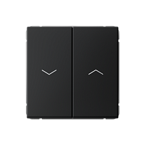 ArtGallery Карбон Выключатель двухклавишный, для жалюзи, 2х сх.4, 10А, механизм Systeme Electric (Schneider Electric)