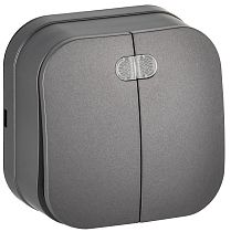 GLORY Выключатель 2-клавишный для открытой установки с индикацией 10А ВС20-2-1-ХСм сталь матовый IEK