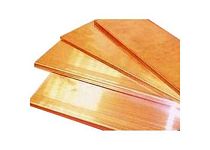 Шина М1Т 10х120х4000 мм TDM