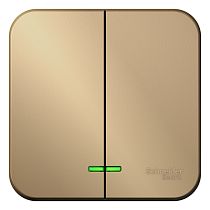 Blanca открытая установка без пластины Титан Выключатель 2 клавишный  с подсветкой  10А Systeme Electric (Schneider Electric)