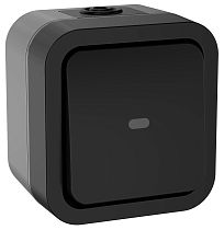 TORS Переключатель одноклавишный с индикацией 10А IP55 TS102 графит  IEK
