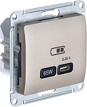 Glossa Титан Розетка USB тип-C 65W высокоскор.заряд. QC, PD, механизм Systeme Electric (Schneider Electric)