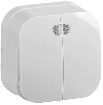 Выключатель двухклавишный для открытой установки с индикацией ВС20-2-1-ХБ 10А GLORY белый  IEK