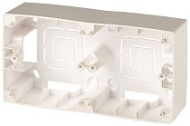 Коробка ЭРА 12 12-6102-04 для накладного монтажа механизмов шампань двойная