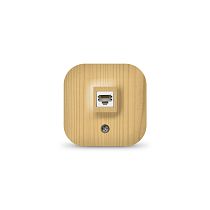 Розетка компьютерная одноместная серия "IONICH", открытой установки, 1А, RJ45, "сосна" (еврослот)