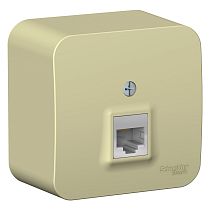 Blanca открытая установка с изолированной пластиной Бежевый Розетка компьютерная RJ45, кат.5E Systeme Electric (Schneider Electric)