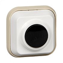 ВЫКЛЮЧАТЕЛЬ КНОПОЧНЫЙ 250В 0.4А ДЛЯ ЭЛЕКТРОЗВОНКОВ DIY Systeme Electric (Schneider Electric)