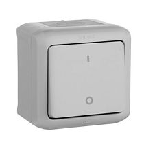 Выключатель одноклавишный IP44 наружный двухполюсный, серый Quteo Legrand