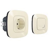 Valena Allure NETATMO Сл. кость Пакет управл. быт. эл. приб.(умн. розетка+беспр. выкл.) Valena Allure NETATMO Сл. кость Пакет управл. быт. эл. приб.(умн. розетка+беспр. выкл.)