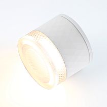 Накладной светильник "Спот" General GWL-GX53-M-IP65 Белый Кристалл