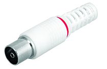 Разъем гнездо TV без пайки белый  REXANT