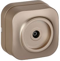 GLORY Розетка для открытой установки TV РТВ20-ХШм шампань матовый IEK GLORY Розетка для открытой установки TV РТВ20-ХШм шампань матовый IEK