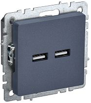 Розетка BRITE USB A+A 5В 3,1А РЮ10-1-БрМ маренго  IEK